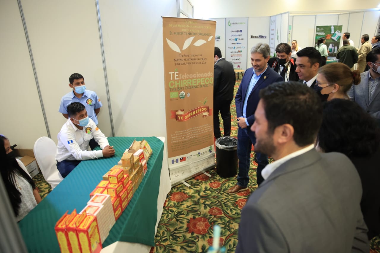 Resaltan producción orgánica en Guatemala