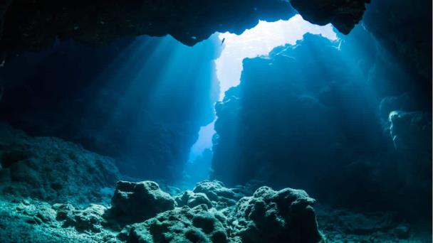 Descubren que bacterias marinas hunden el carbono en fondos oceánicos
