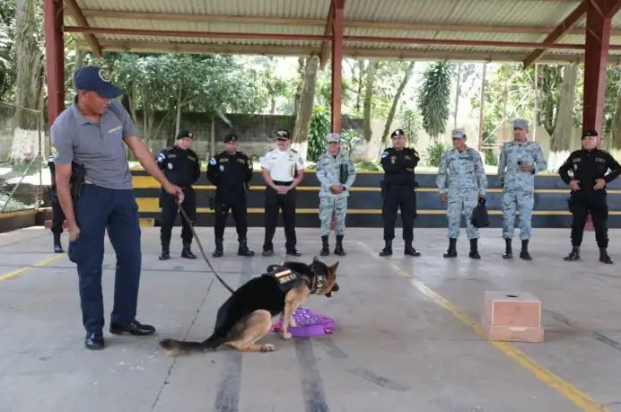 Guatemala y México intercambian conocimientos en la formación de guías e instructores K-9
