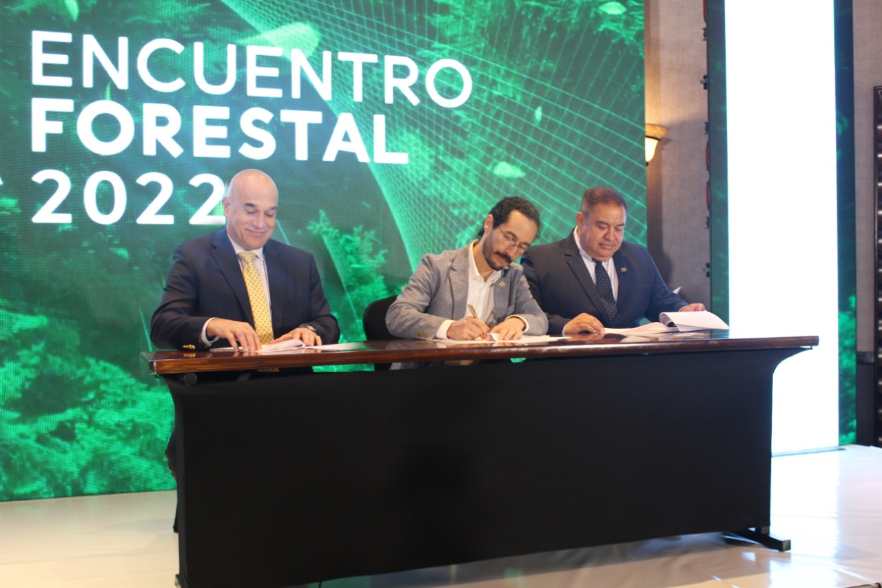 Fomentan buenas prácticas para el desarrollo forestal sostenible