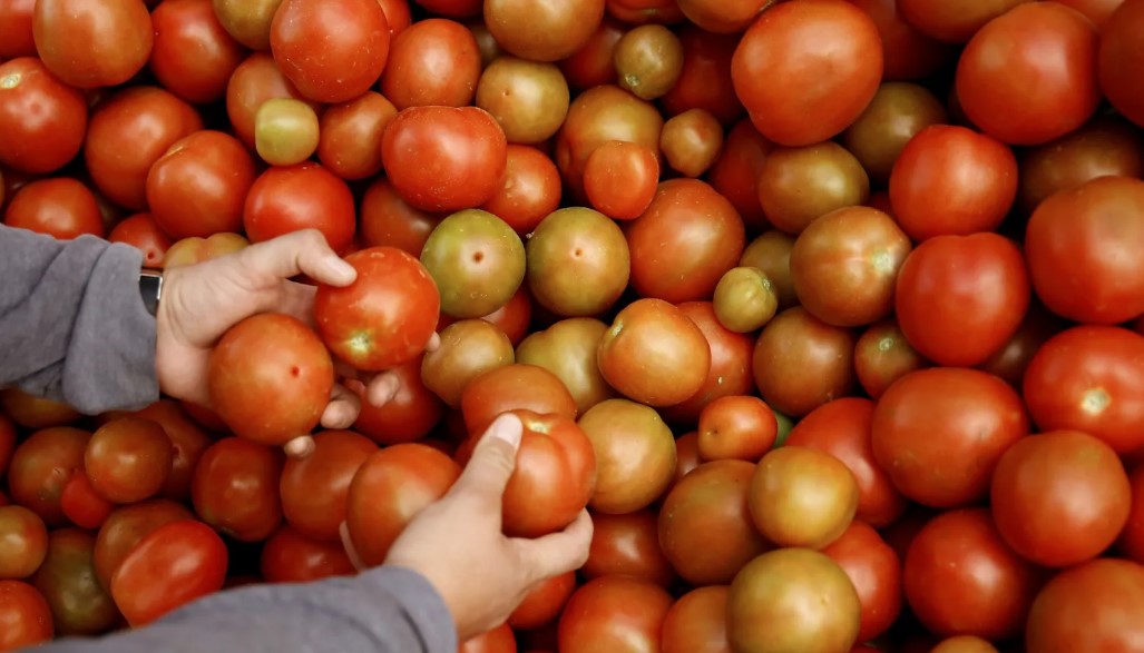 Agricultura de América expone sus logros en mitigación del cambio climático