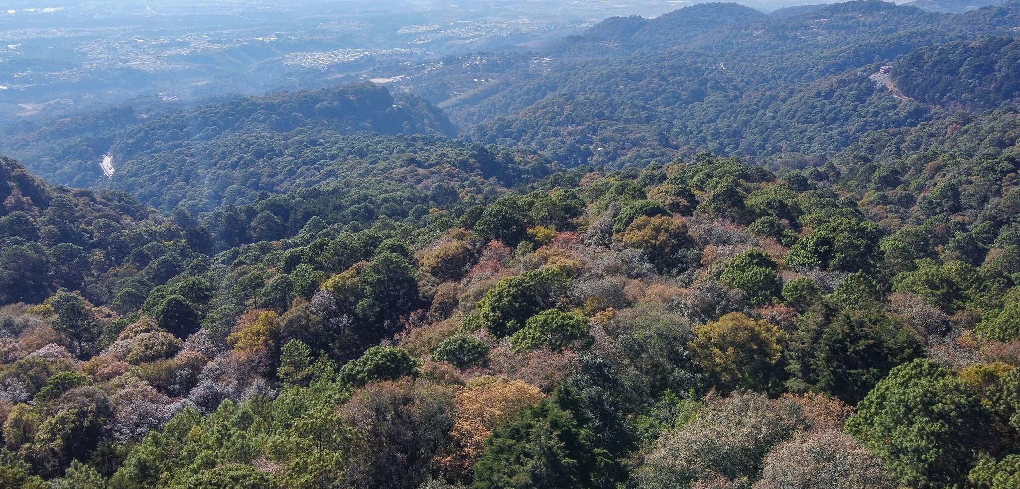 Mantienen acciones para conservar la biodiversidad en la cordillera Alux