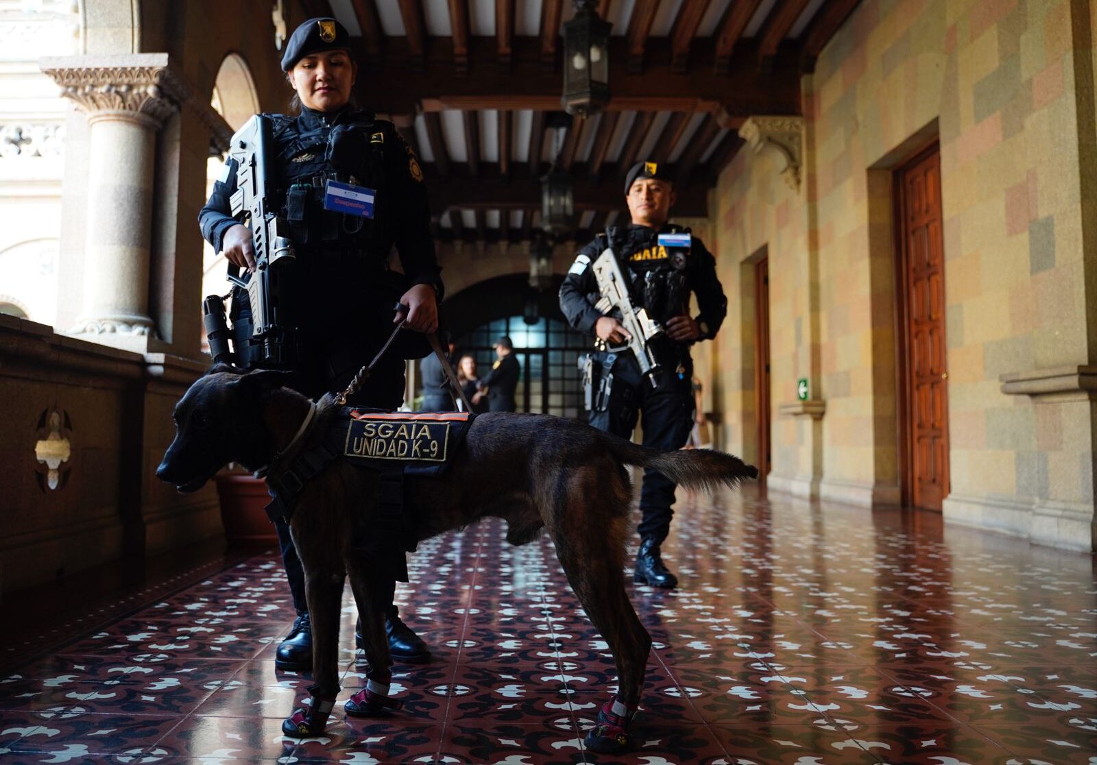 Fortalecen lucha contra el narcotráfico con apoyo de binomios K-9