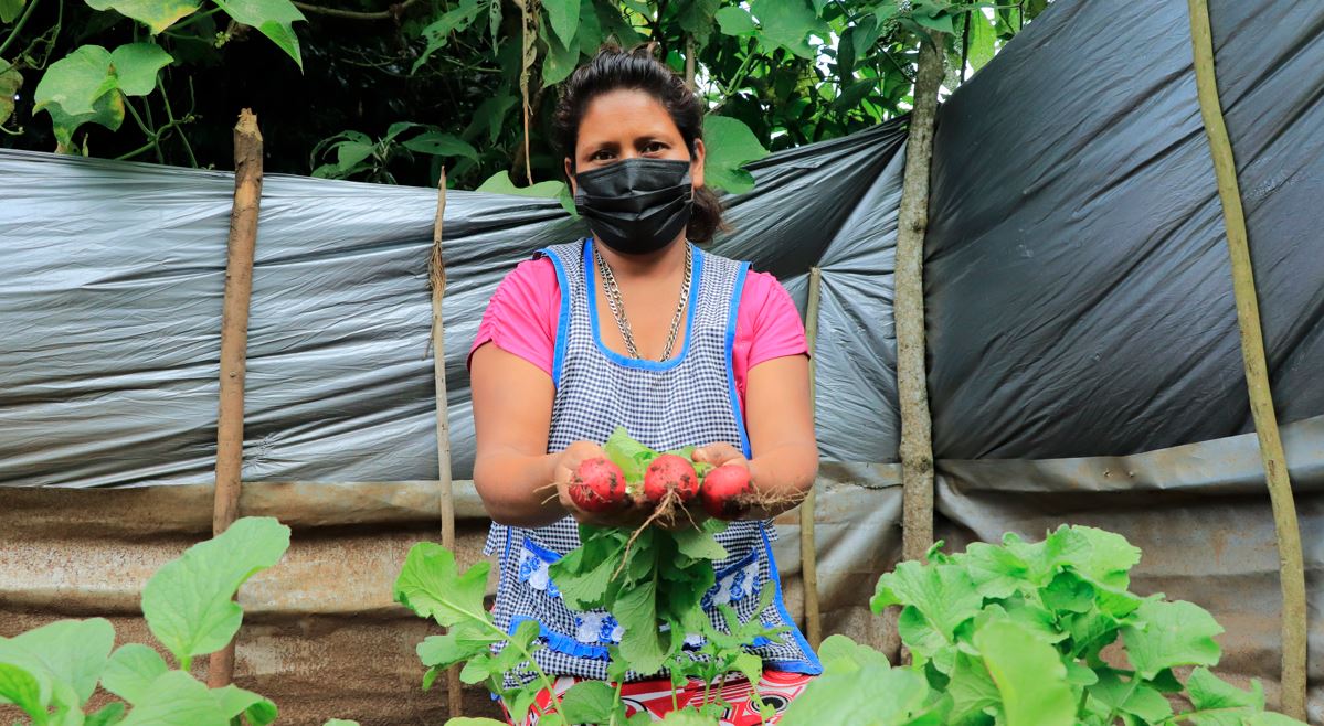 Agricultores familiares ofrecen productos frescos y sanos para los estudiantes. /Foto: MAGA