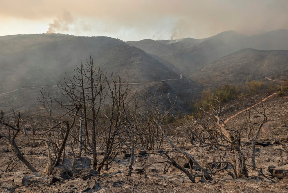 El reto para Latinoamérica es adaptarse al cambio climático más que mitigarlo