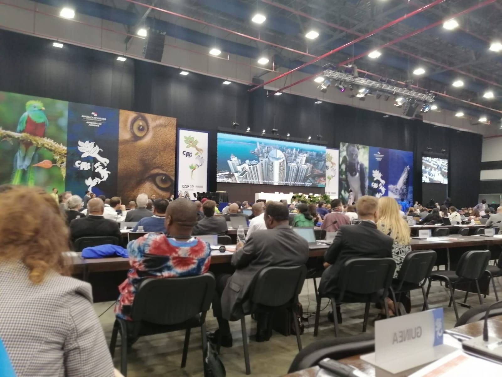 Guatemala presente en Conferencia Mundial sobre Vida Silvestre CoP19 CITES