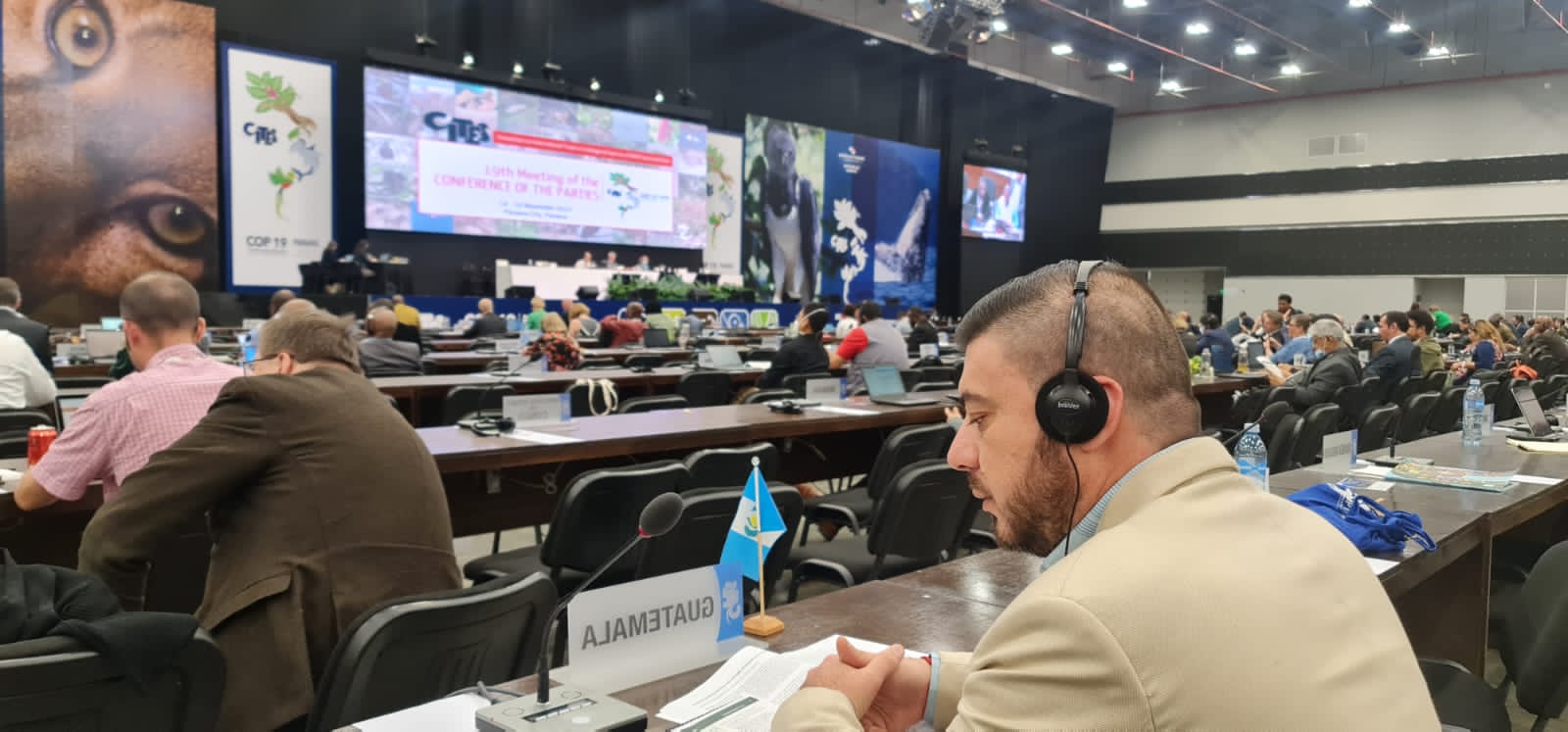 Delegación guatemalteca en Panamá impulsa protección de especies amenazadas
