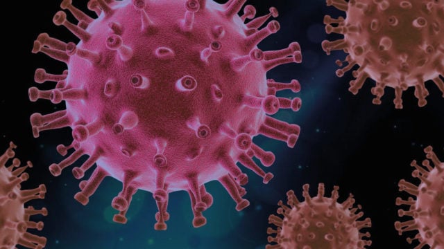 Identifican nueva proteína del coronavirus que abre puerta a tratamientos