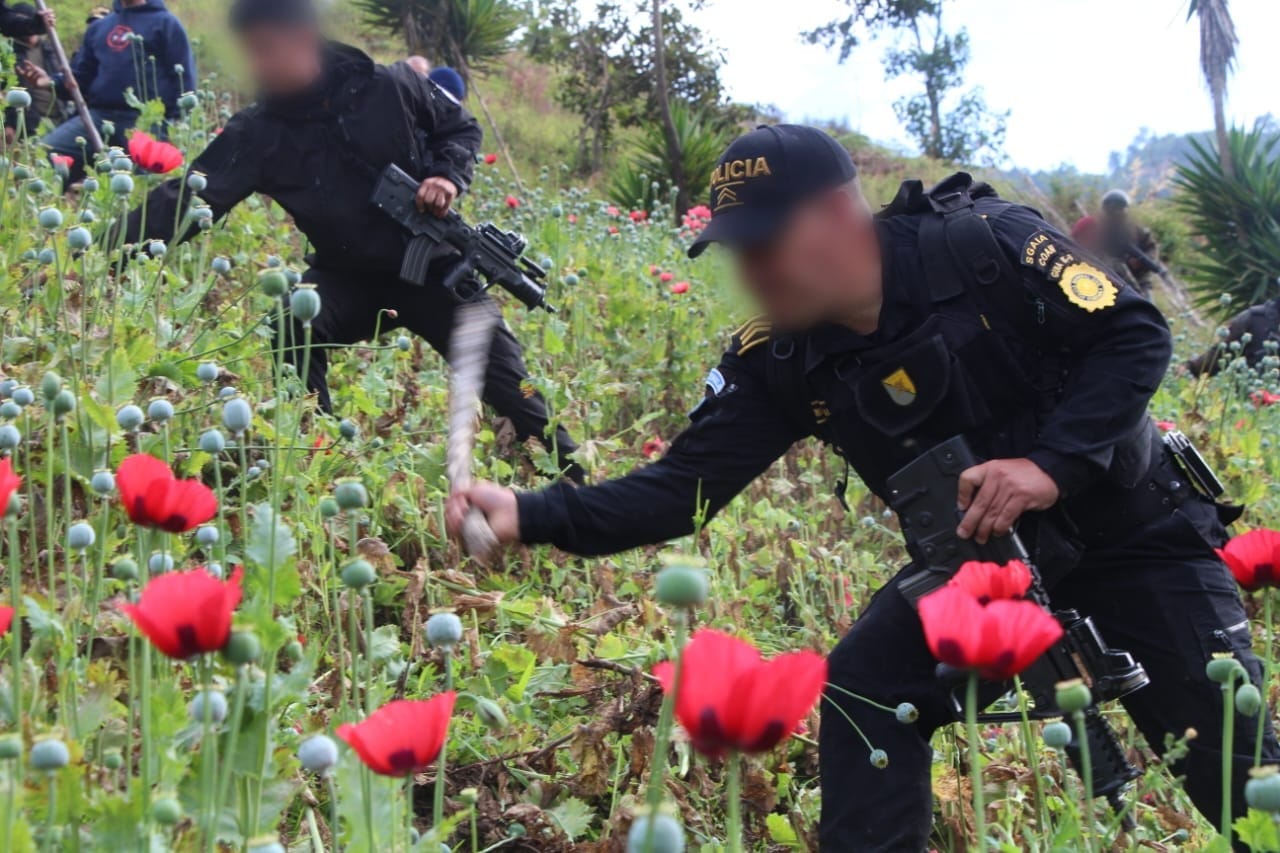 Se reportan más de 3 mil 875 millones de quetzales incautados al narcotráfico