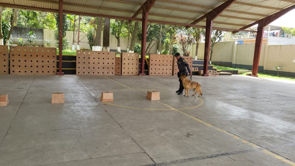 Personal fortalece sus conocimientos para el adiestramiento de agentes caninos