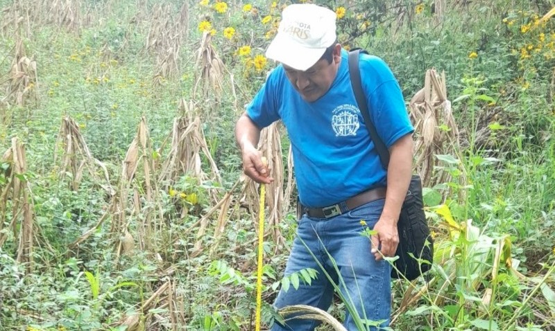 MARN efectúa monitoreo de áreas reforestadas del país
