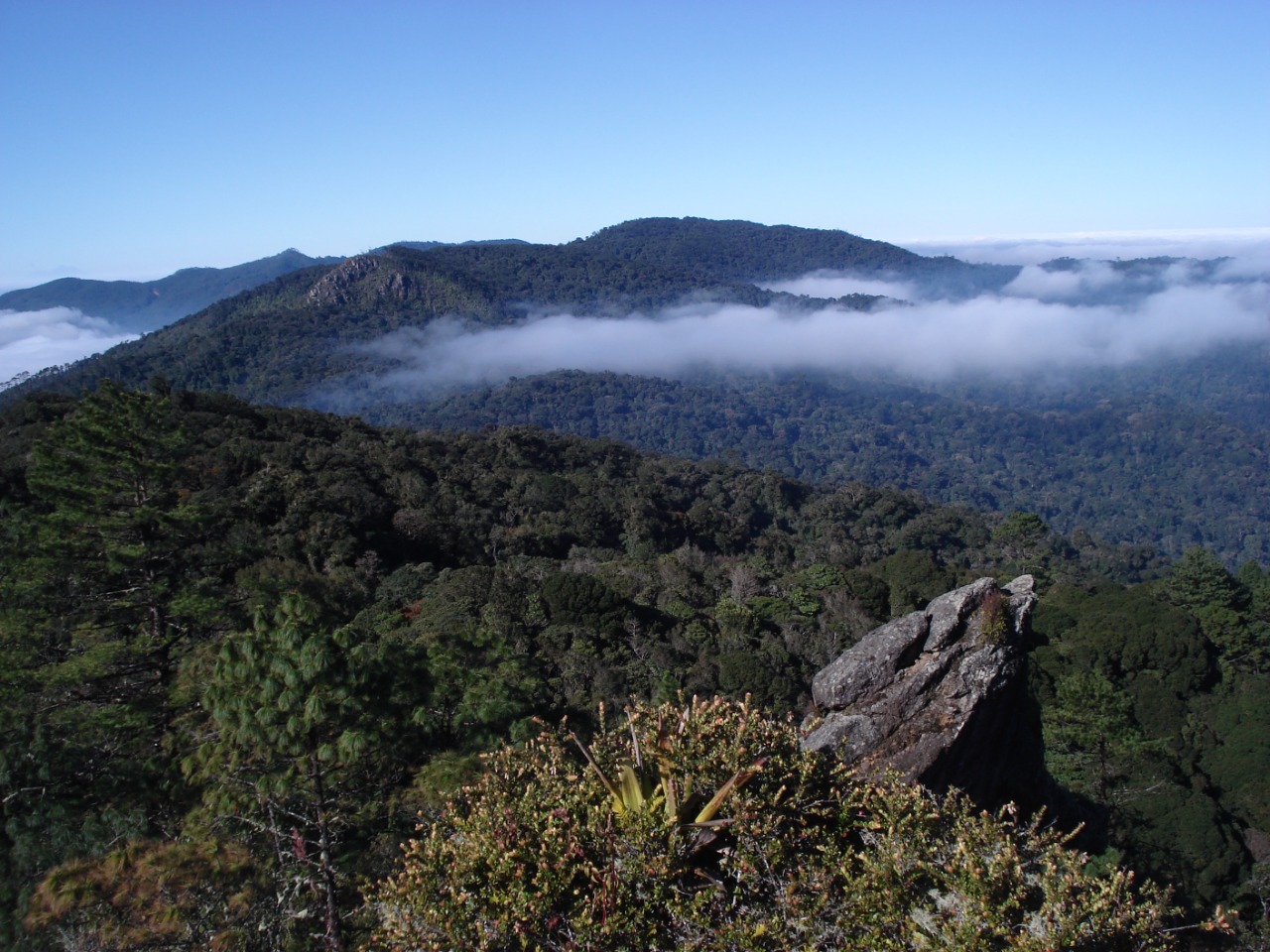 Promueven acciones para resguardar las reservas de biosfera en Guatemala