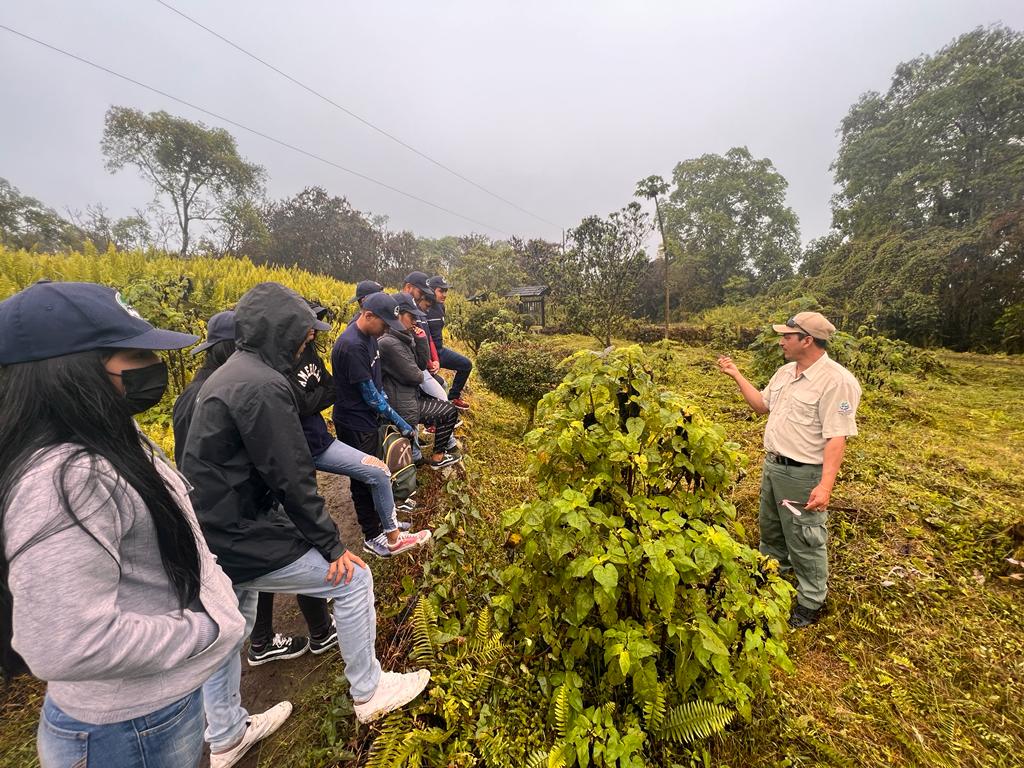 Expertos avanzan en proyecto para salvar planta endémica de Galápagos