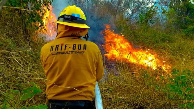 Conred mantiene acciones para sofocar incendios forestales en el país