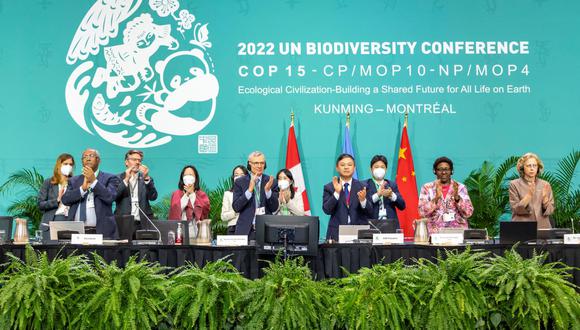 Biodiversidad