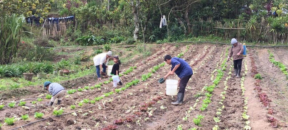 Más de 5 mil familias jalapanecas fortalecen su producción agrícola y seguridad alimentaria