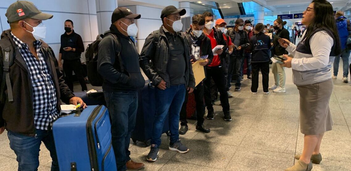 Programa de trabajo temporal incrementó en un 100 % los beneficiarios 