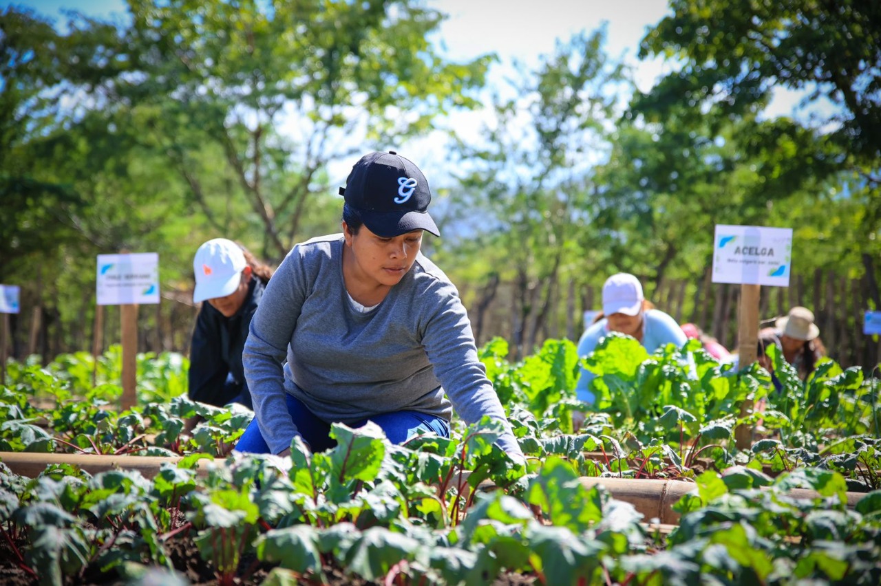 Impulsan desarrollo del empleado público agrícola