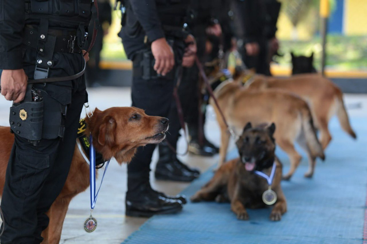 Realizan ceremonia de jubilación y adopción de perros policías