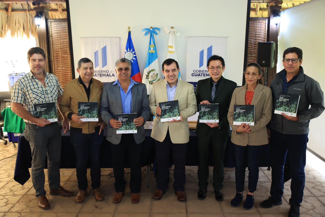 Plan estratégico del Bambú. /Foto: MAGA