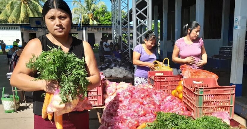 El Progreso organiza segunda feria de agricultura familiar