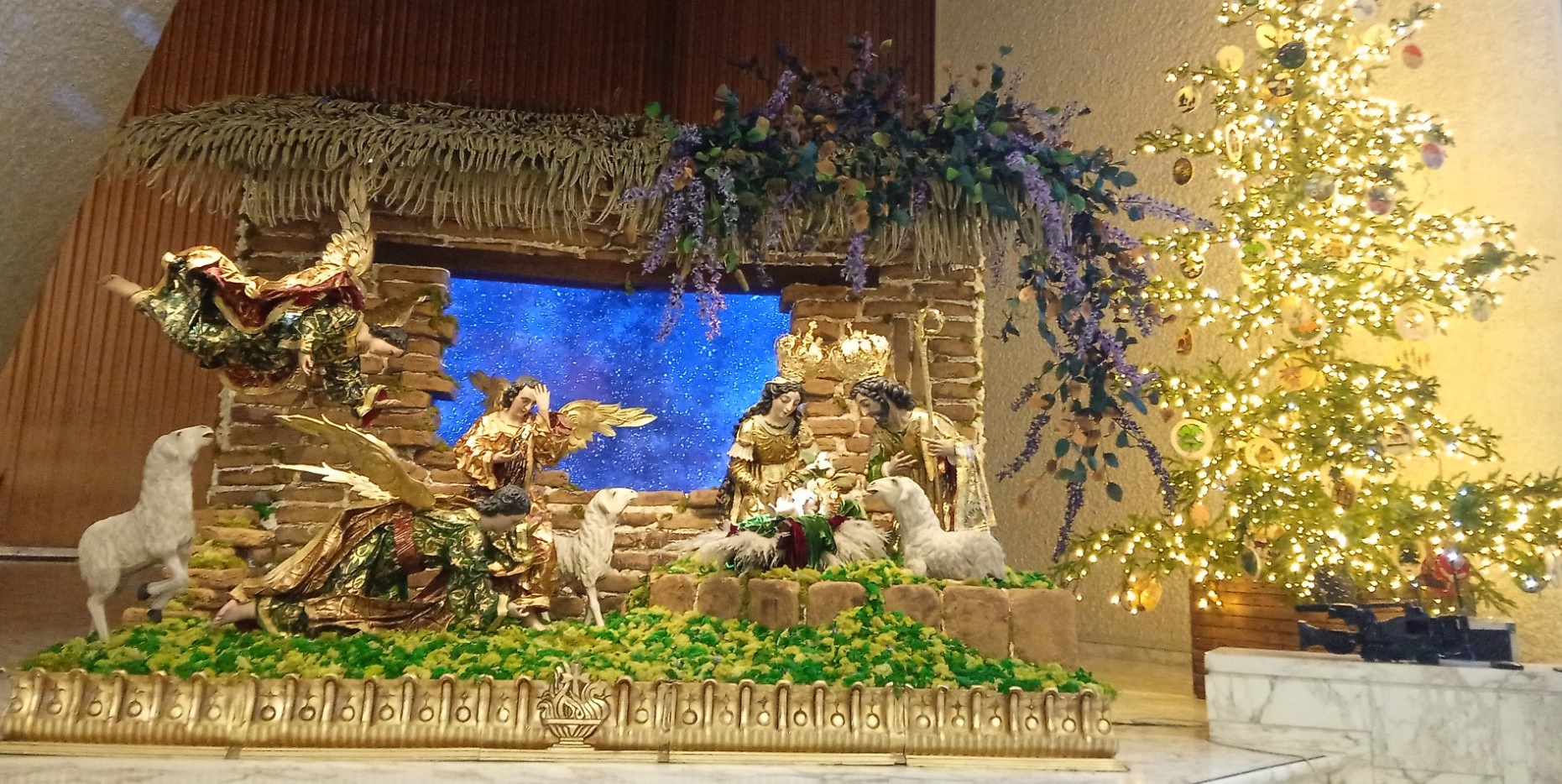 Vaticano inaugura sus belenes y enciende su árbol de Navidad