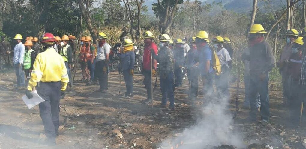 Las Verapaces e Ixcán accionan contra plagas e incendios forestales
