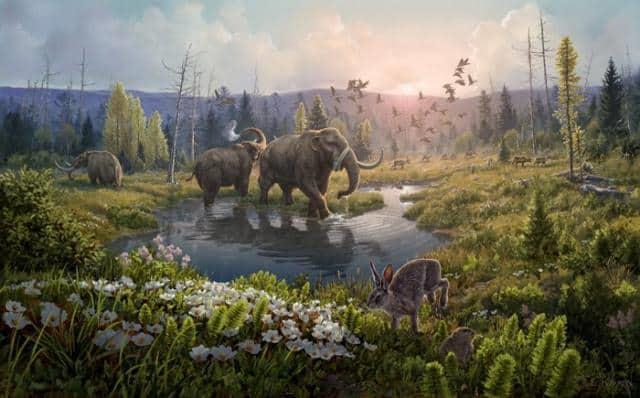 Reconstruyen un ecosistema de hace 2 millones de años con el ADN más antiguo