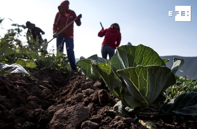 FAO reúne a Latinoamérica y el Caribe para impulsar la agricultura familiar