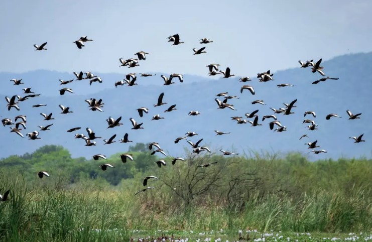 El BID aprobará un plan para incluir la biodiversidad en todos sus proyectos