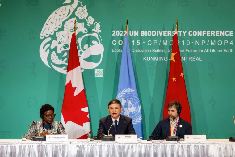 COP15 acuerda proteger al menos 30 % del planeta para preservar biodiversidad