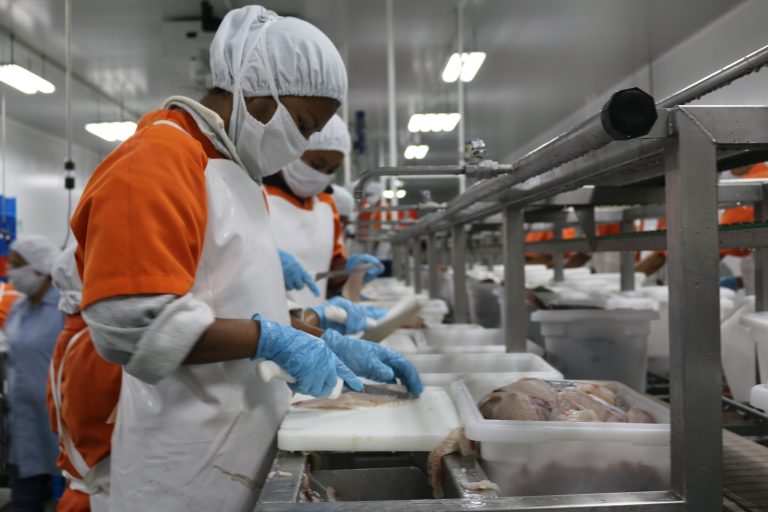 Sector de acuicultura y pesca cierra sus exportaciones en más de 154 millones de dólares