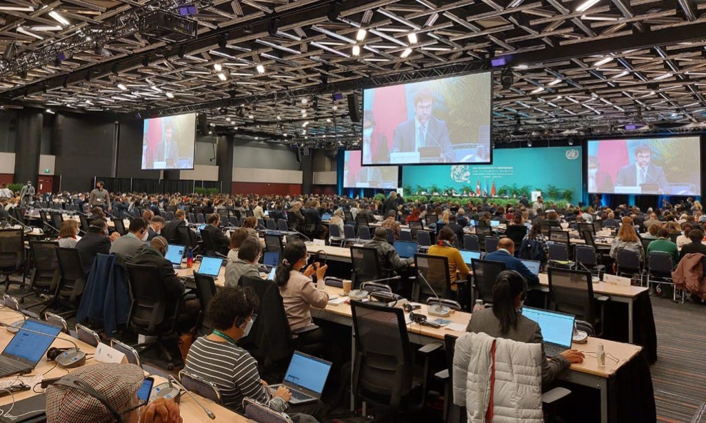 Delegación guatemalteca impulsa nuevo marco global para la biodiversidad durante COP15