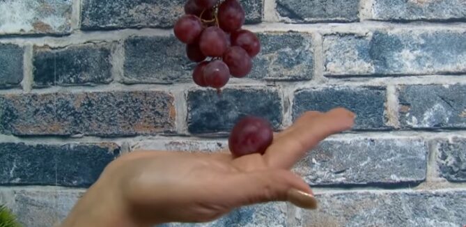 Conozca las formas curiosas y extravagantes para recibir el Año Nuevo