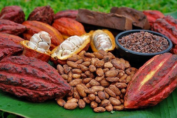 Proyecto Tuq’tuquilal, opción de ecoturismo en Lanquín