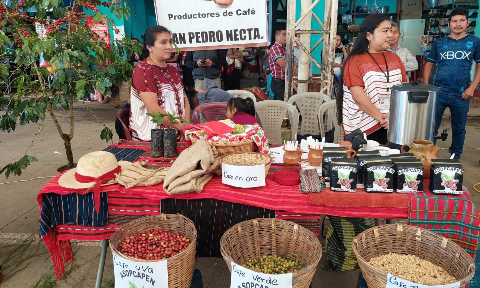 Efectúan la Ruta Turística del Café, en San Pedro Necta, Huehuetenango
