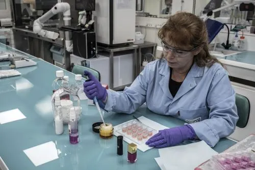 Qué actividades se desarrollaron para promover la ciencia y la tecnología