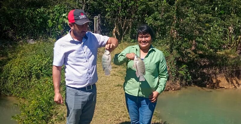 Petén aumenta producción acuícola en el área rural