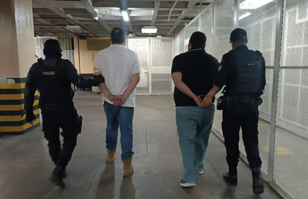 Reportan más de 300 capturas en la última semana