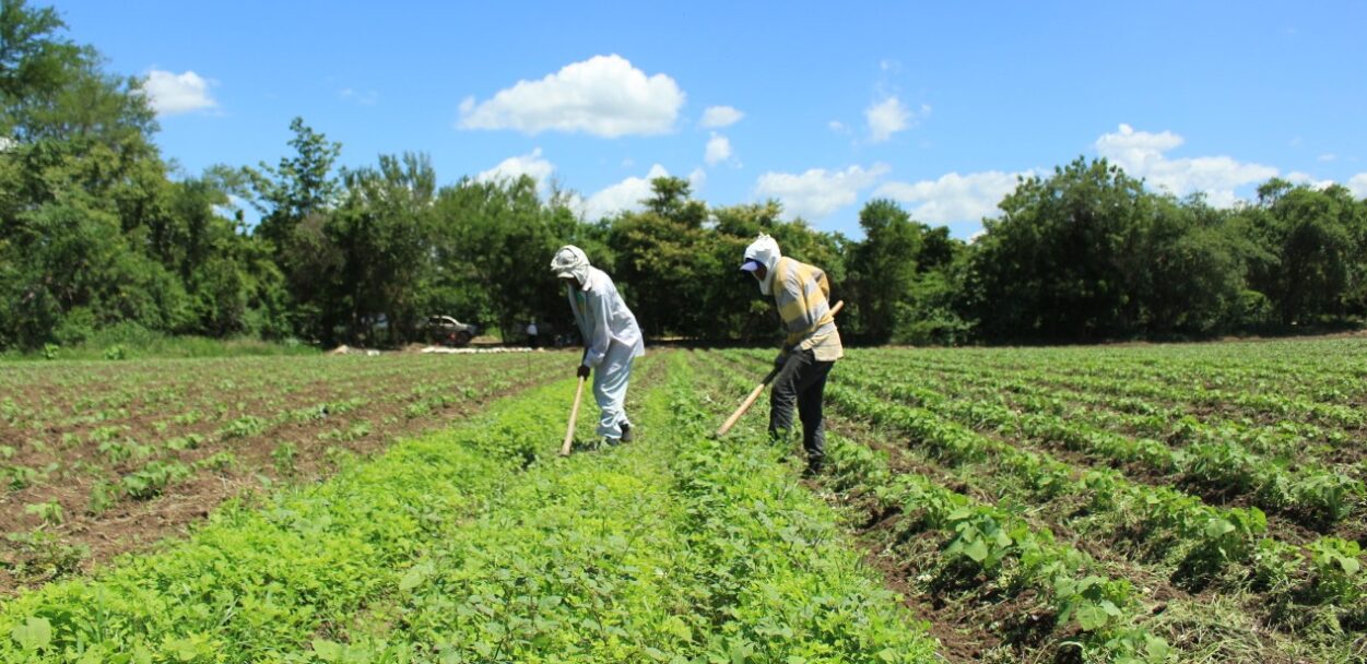 Socializan programa de arrendamiento de tierras con líderes comunitarios