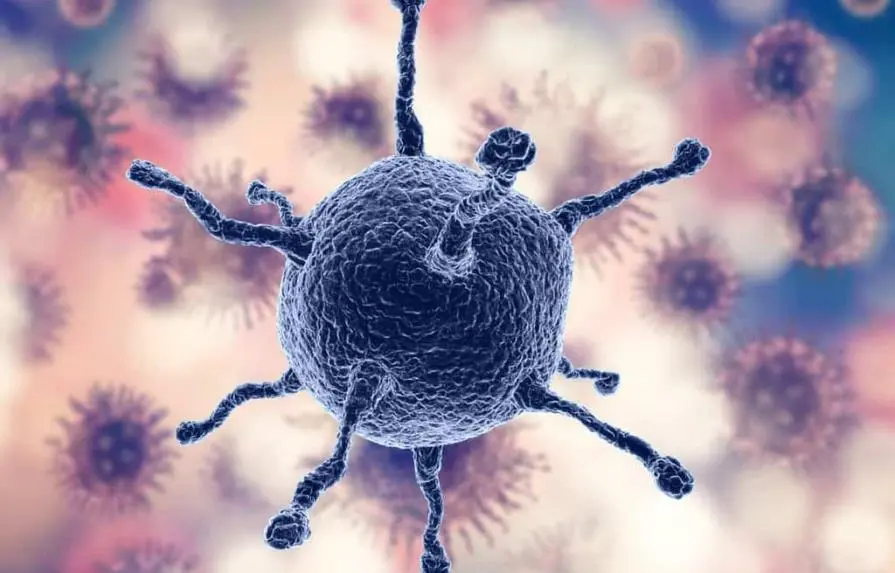 Las “gemelas digitales” permitirán afinar tratamientos contra el cáncer