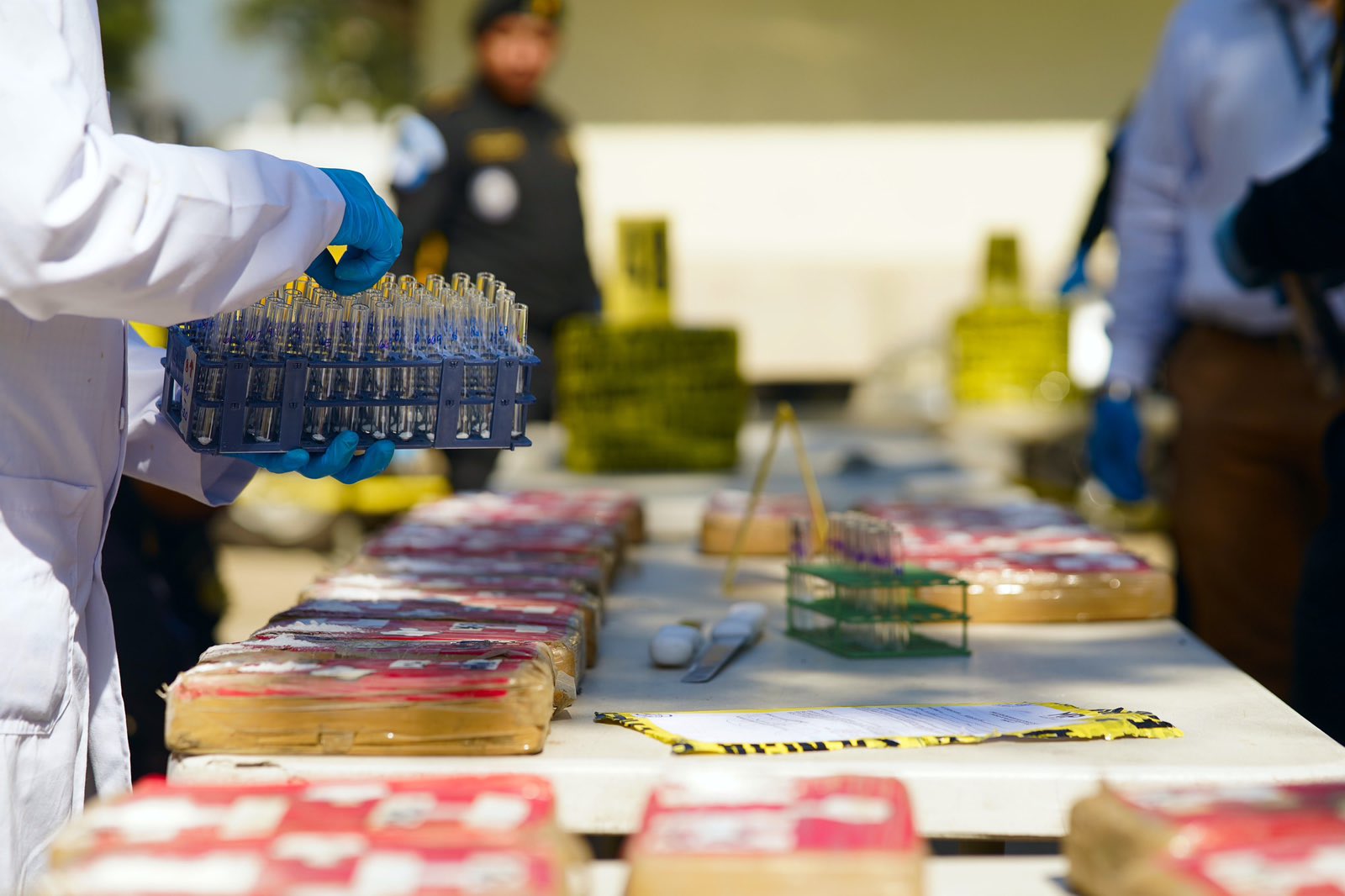 Continúan procesos legales para destrucción de droga incautada