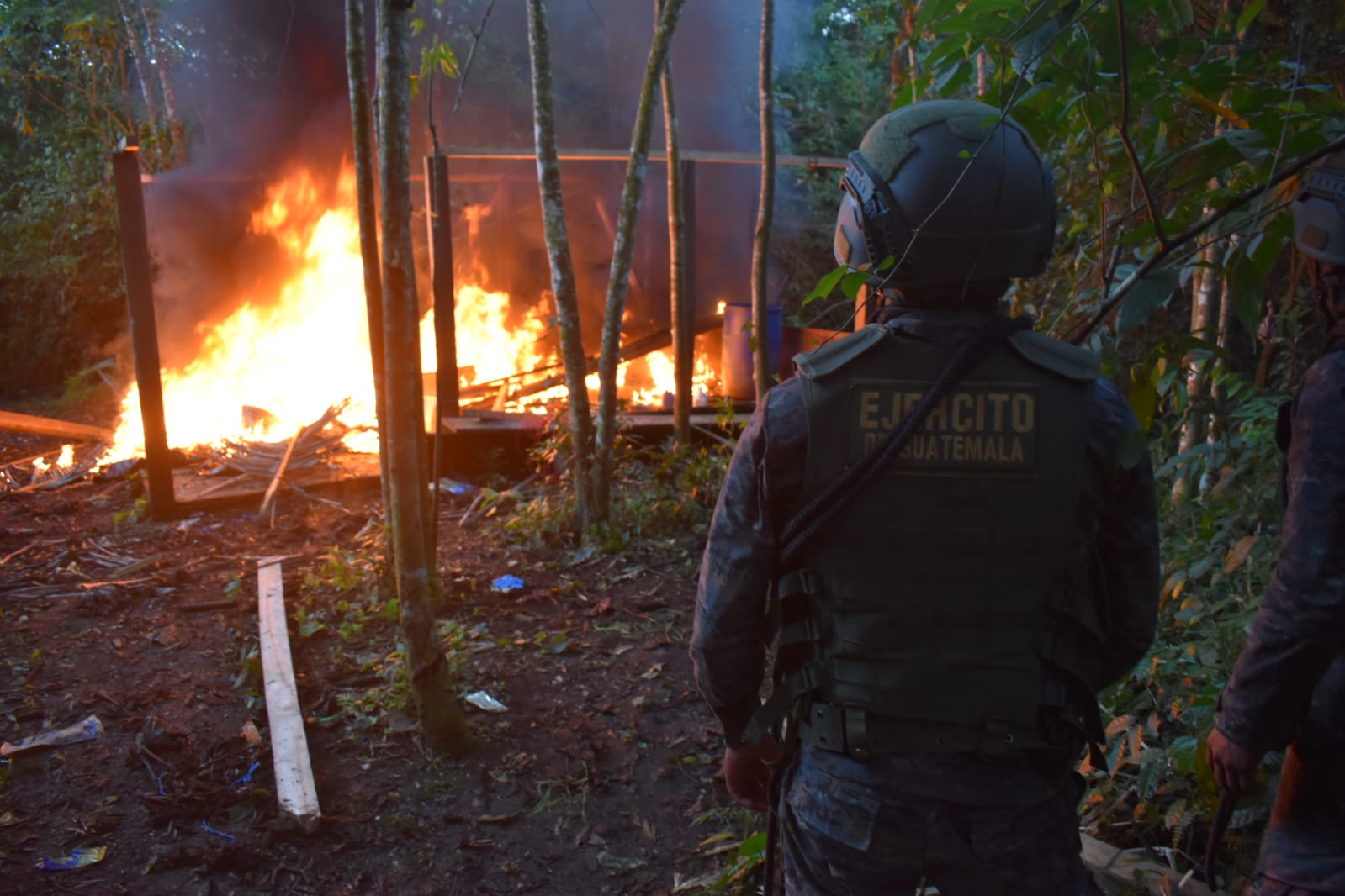Erradican 500 mil arbustos de coca en Alta Verapaz