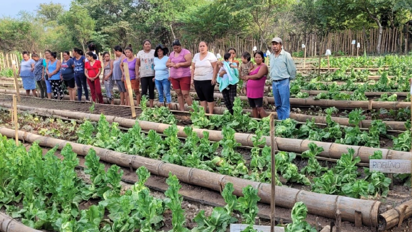 Familias de El Progreso se capacitan en seguridad alimentaria