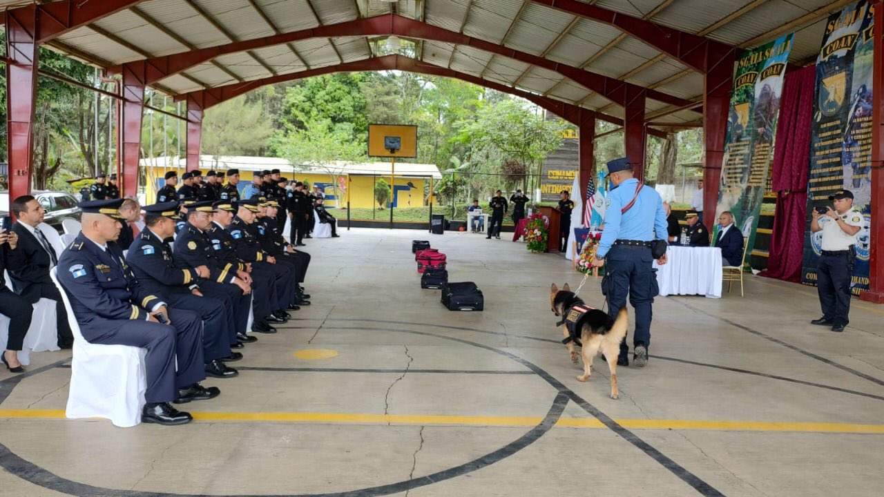 Gradúan a diez guías K-9 para reforzar lucha contra el narcotráfico