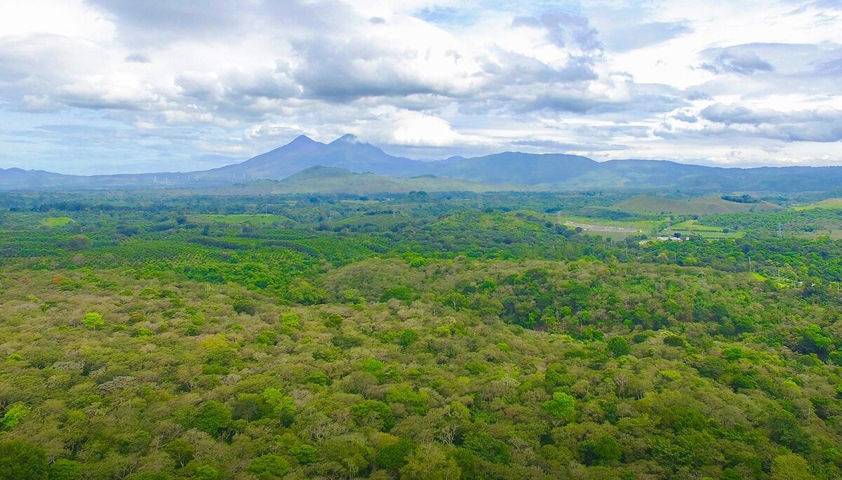 Promueven buenas prácticas para el cuidado del medio ambiente