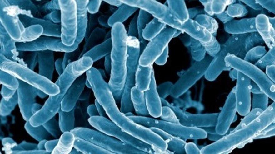 ONU: Recortar contaminación es crucial para evitar las superbacterias