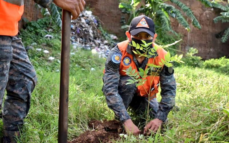 Ejército se traza meta de plantar 350 mil árboles para 2023