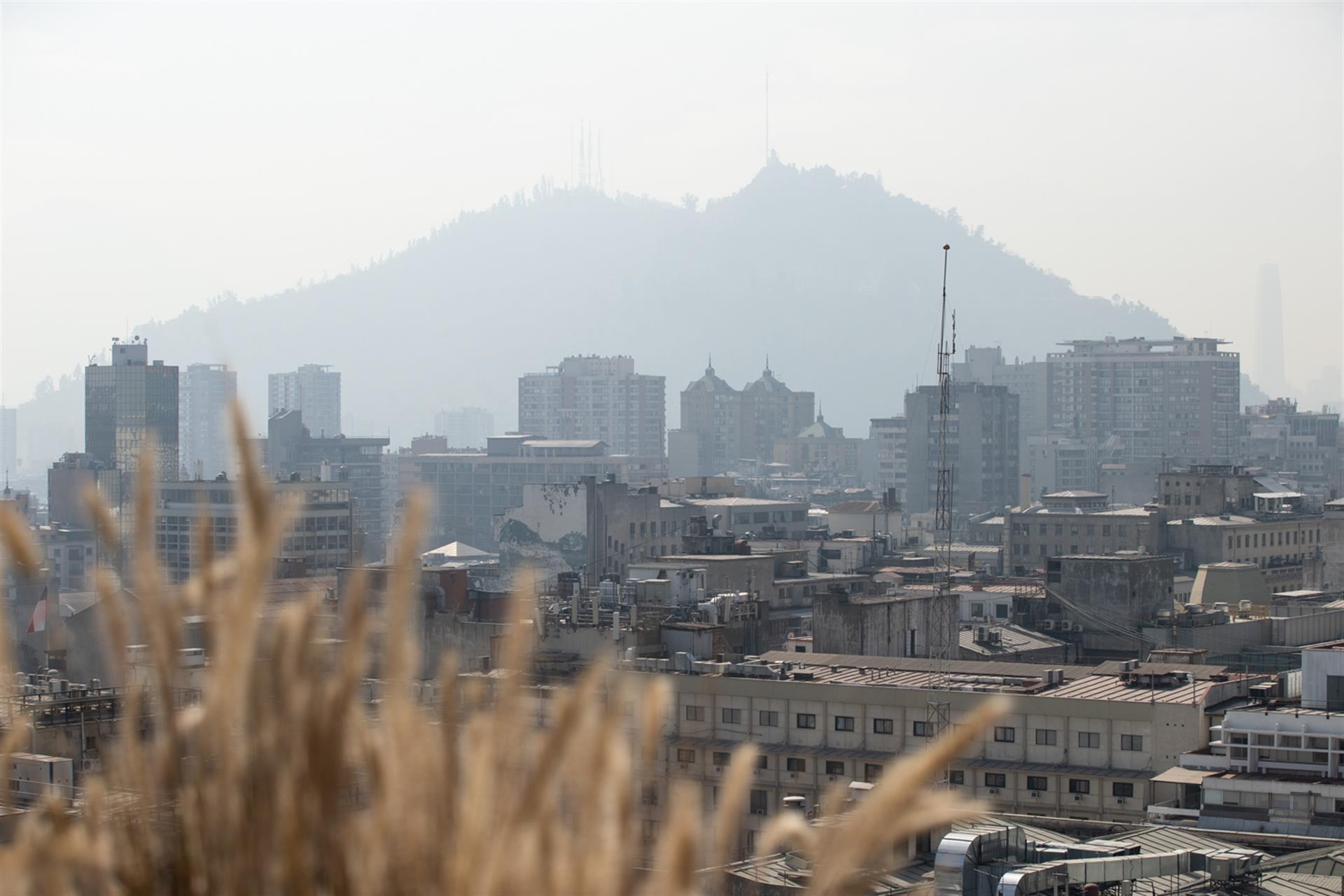Secuestro de carbono puede desestabilizarse en muchas regiones del planeta
