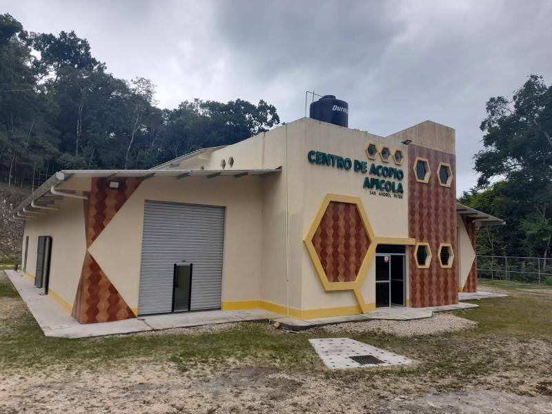 Proyecto apícola promueve buenas prácticas en Petén